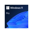 Microsoft Windows 11 PRO 64bit English 1pk DSP OEI DVD Online