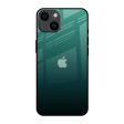 Palm Green Glass Case For iPhone 14 on Sale